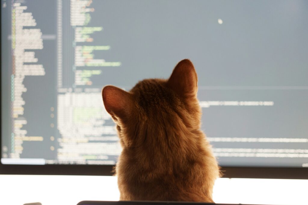 Orange cat looking at computer - Photo by <a href="https://unsplash.com/@vladimir_d?utm_content=creditCopyText&utm_medium=referral&utm_source=unsplash">Volodymyr Dobrovolskyy</a> on <a href="https://unsplash.com/photos/a-cat-sitting-in-front-of-a-computer-monitor-KrYbarbAx5s?utm_content=creditCopyText&utm_medium=referral&utm_source=unsplash">Unsplash</a>