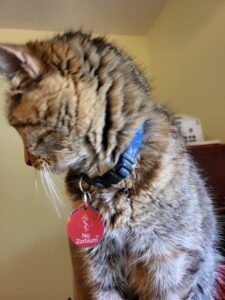NoZorbium® Picture of cat with No Zorbium tag